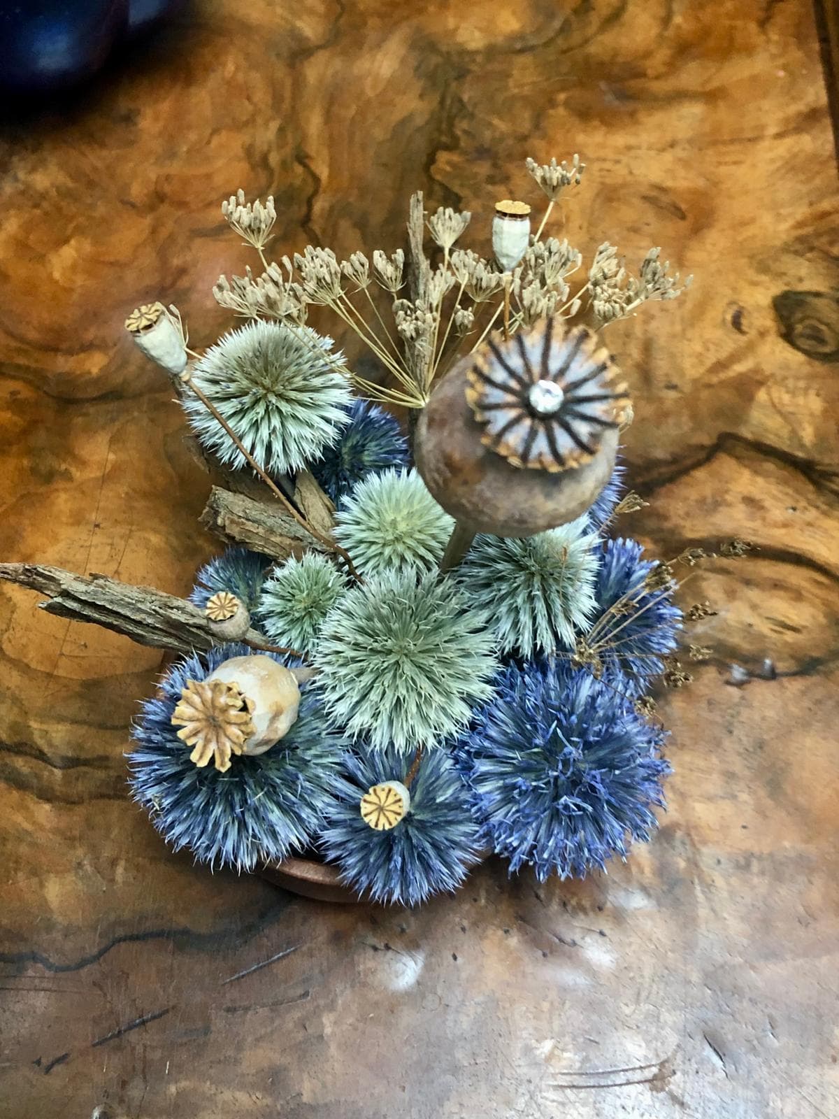 Composition avec chardons, pavot surmonté d'un bijou, à ses pieds coquelicots séchés