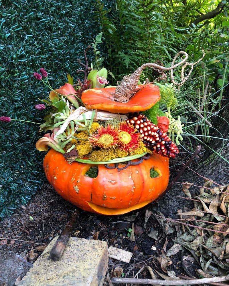 Citrouille, yeux de mousse casquette d'arome, epis de maïs aux couloeurs d'automne, sanguisorba