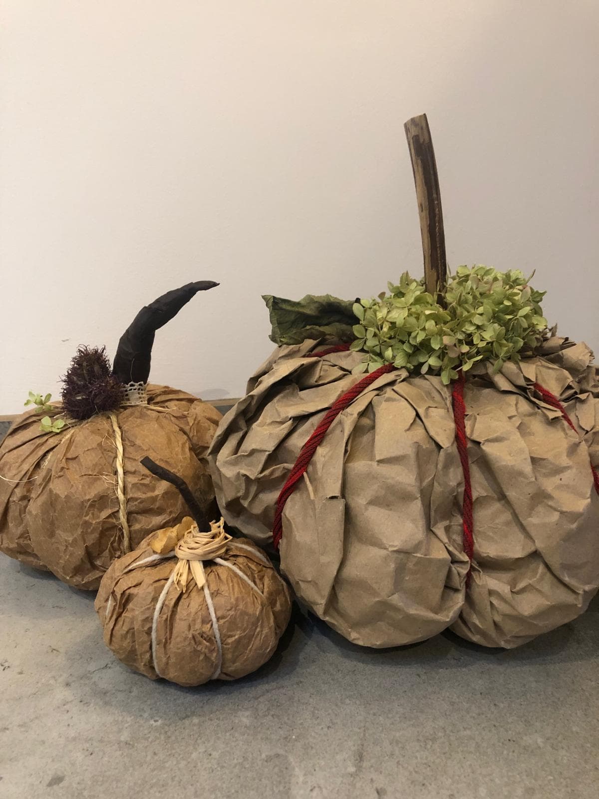 citrouilles carton et hydrangea