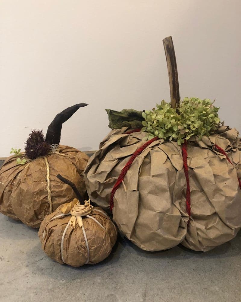 citrouilles carton et hydrangea