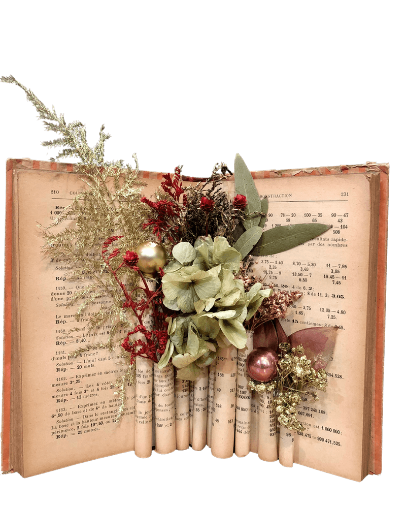 Livre ancien ouvert, herbier de fleurs séchées