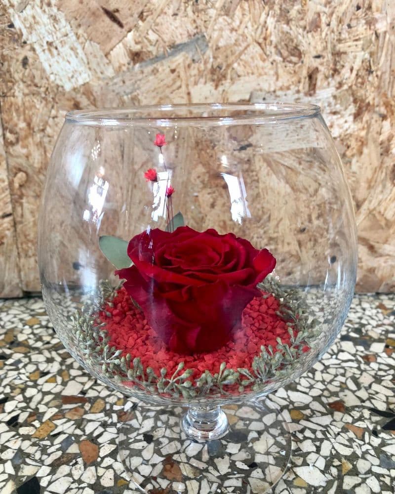 coupe rose rouge