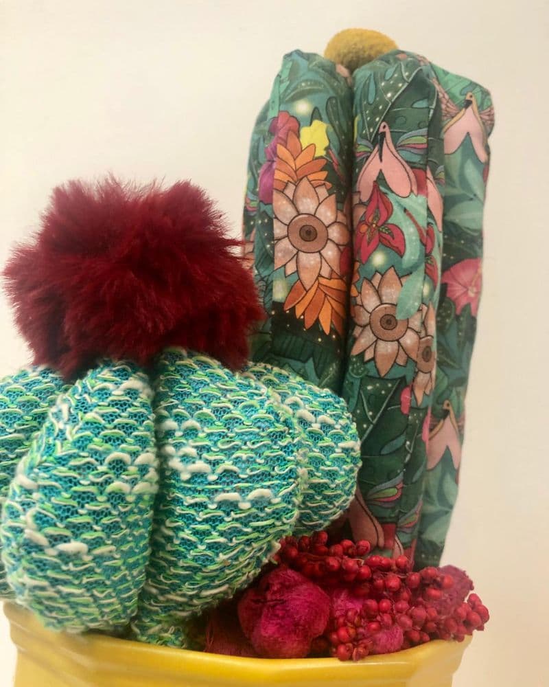 cactus tissu