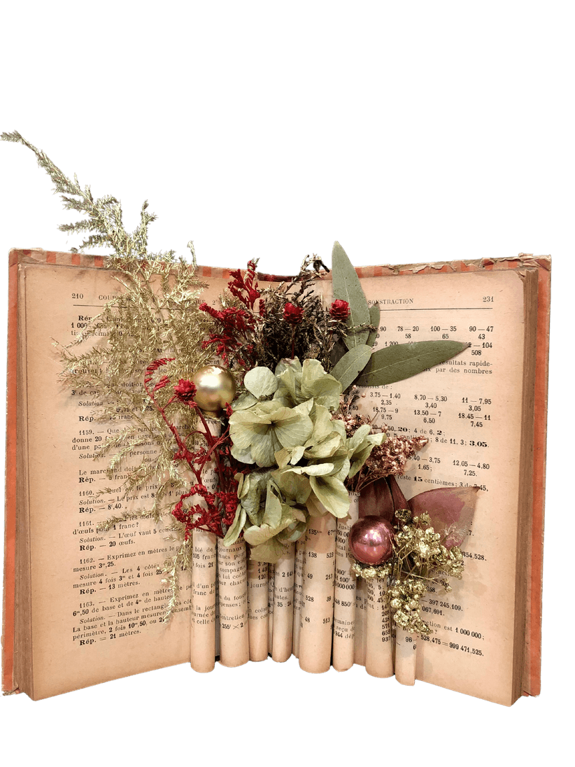 Livre ancien ouvert, herbier de fleurs séchées